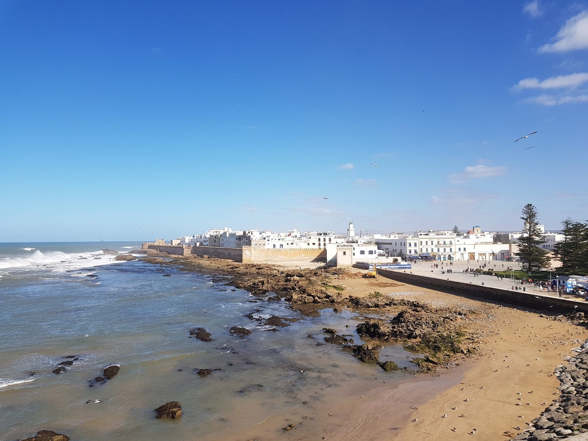 Essaouira - Viaggio in Marocco