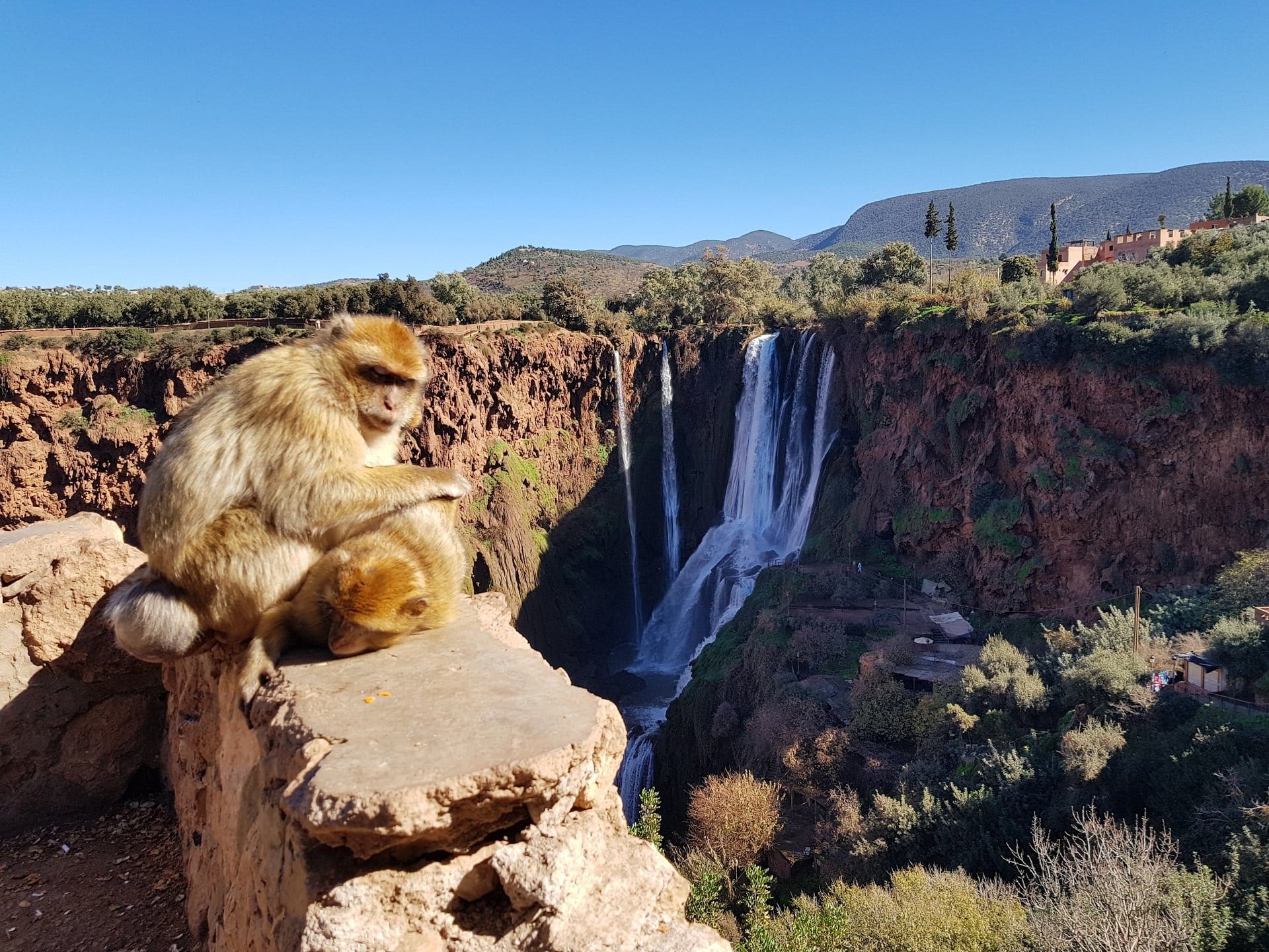 Le Cascate di Ouzoud - Viaggio in Marocco