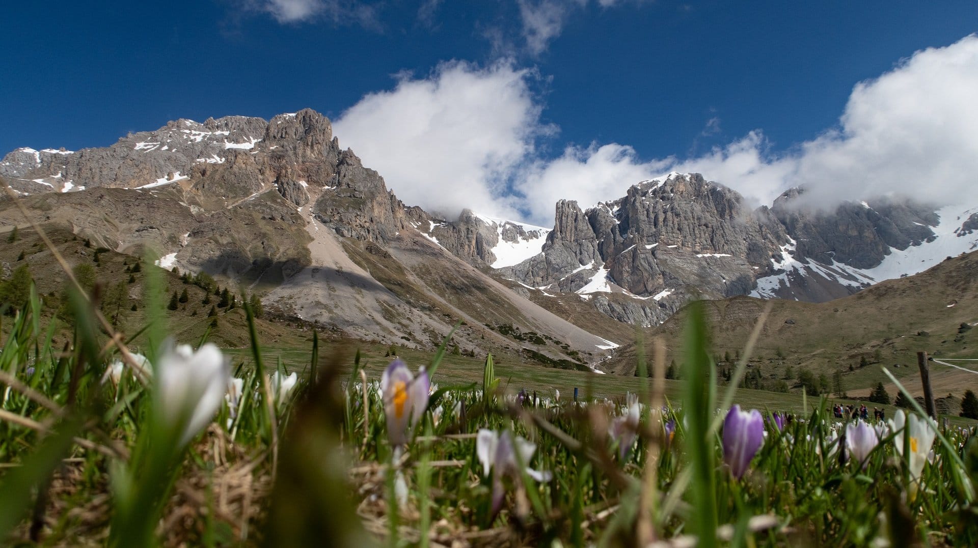 Escursione Al Rifugio Fuciade Val Di Fassa Giada Mille Esperienze